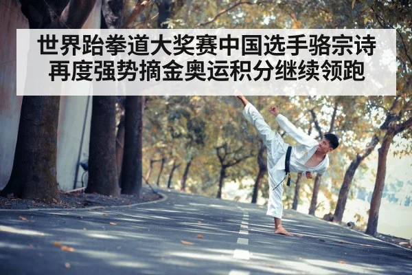 世界跆拳道大奖赛中国选手骆宗诗再度强势摘金奥运积分继续领跑